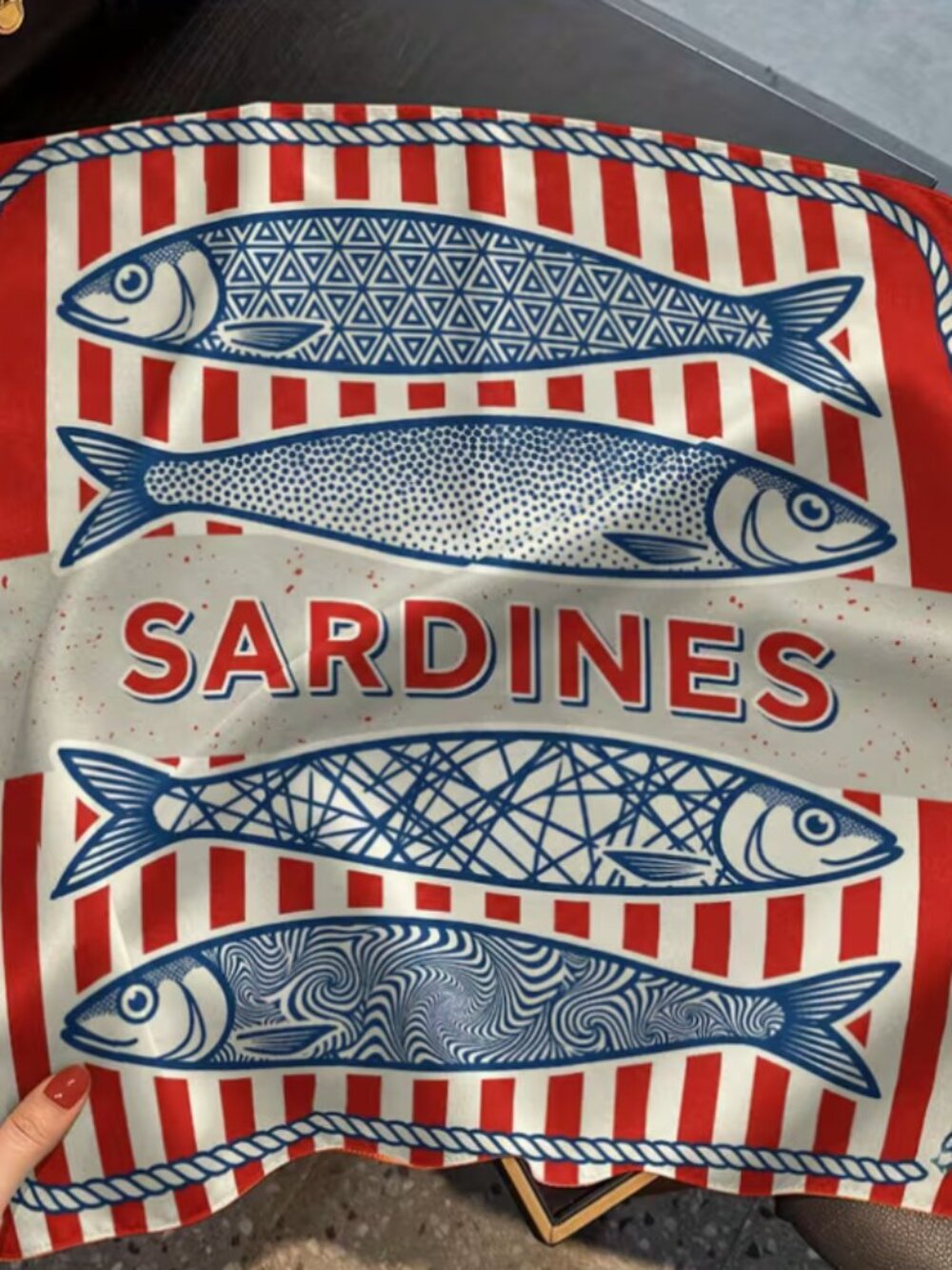 Nautical Sardine Fish & Red Stripe Costal scarf new
